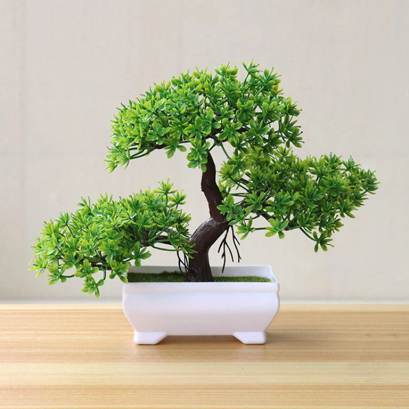 The Desk Bonsai