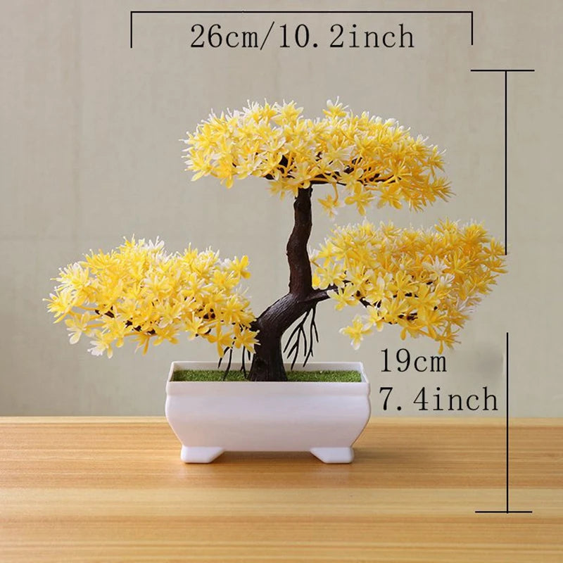 The Desk Bonsai