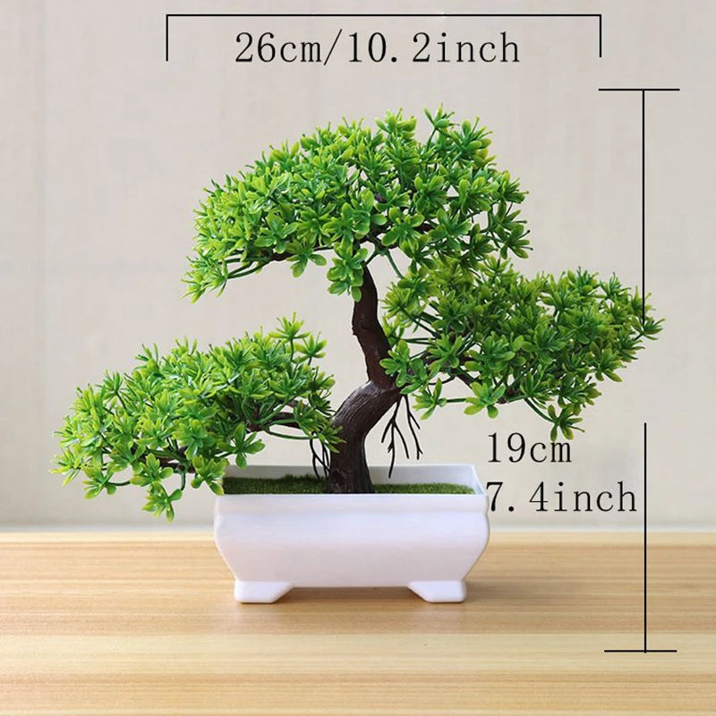 The Desk Bonsai