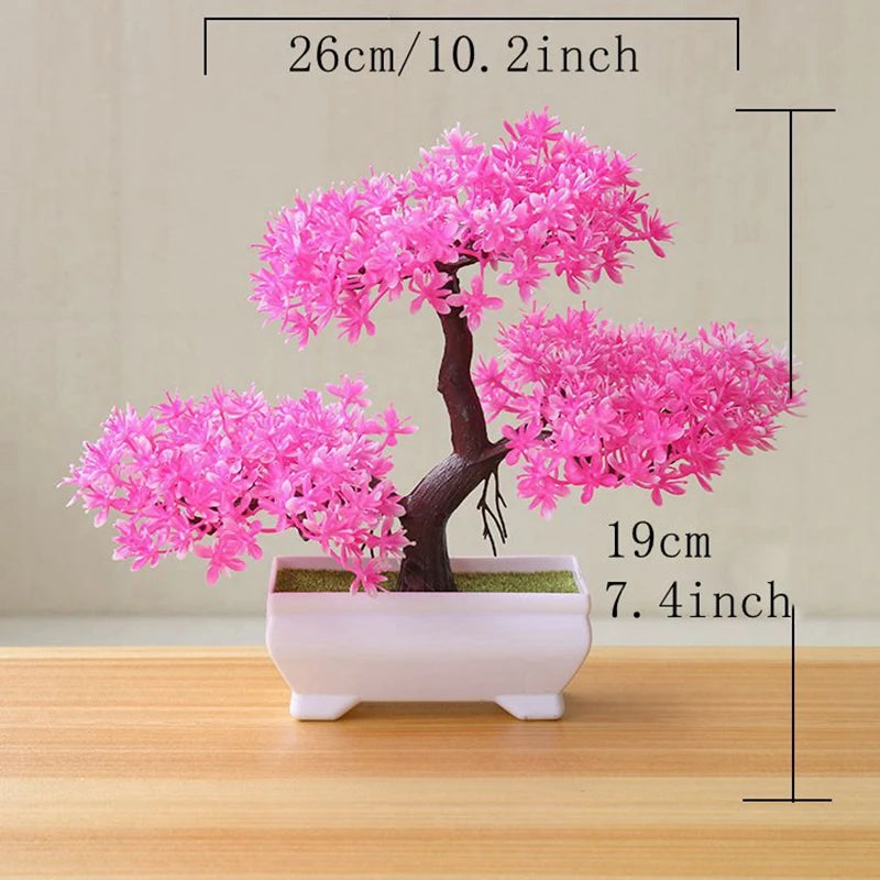 The Desk Bonsai